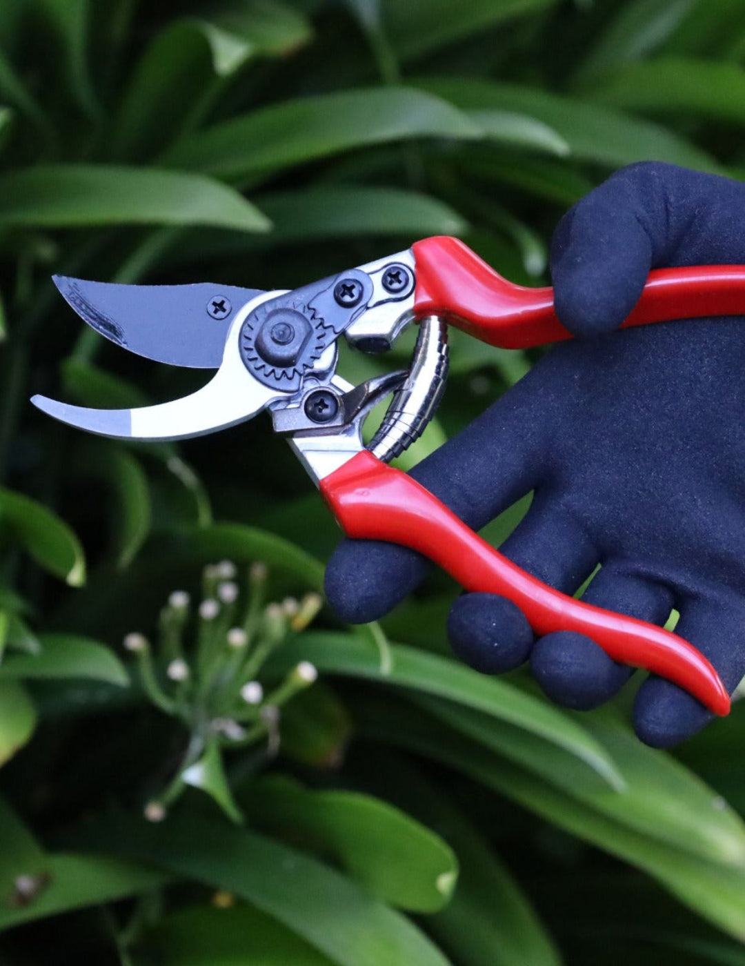 Darlac Expert Bypass Pruner Secateurs