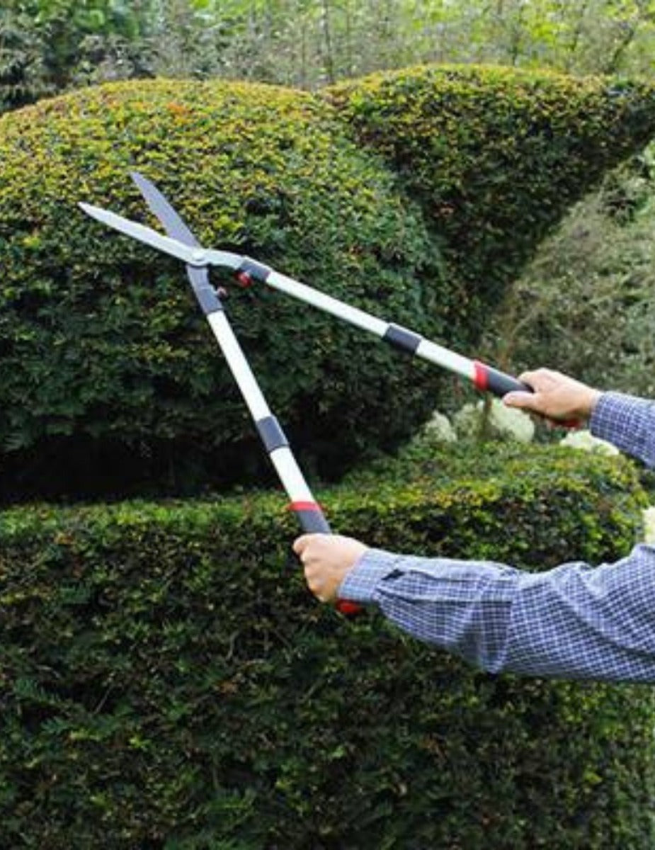 Darlac Telescopic Hedge Shear