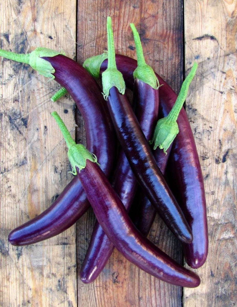 Long Purple Eggplant Seeds