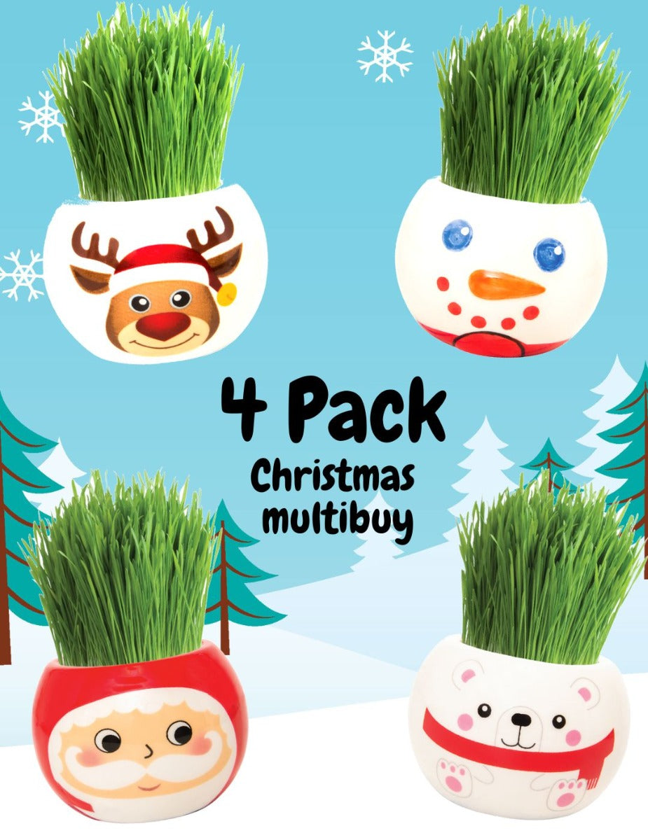 Grass Hair Kit - Christmas 4 Pack