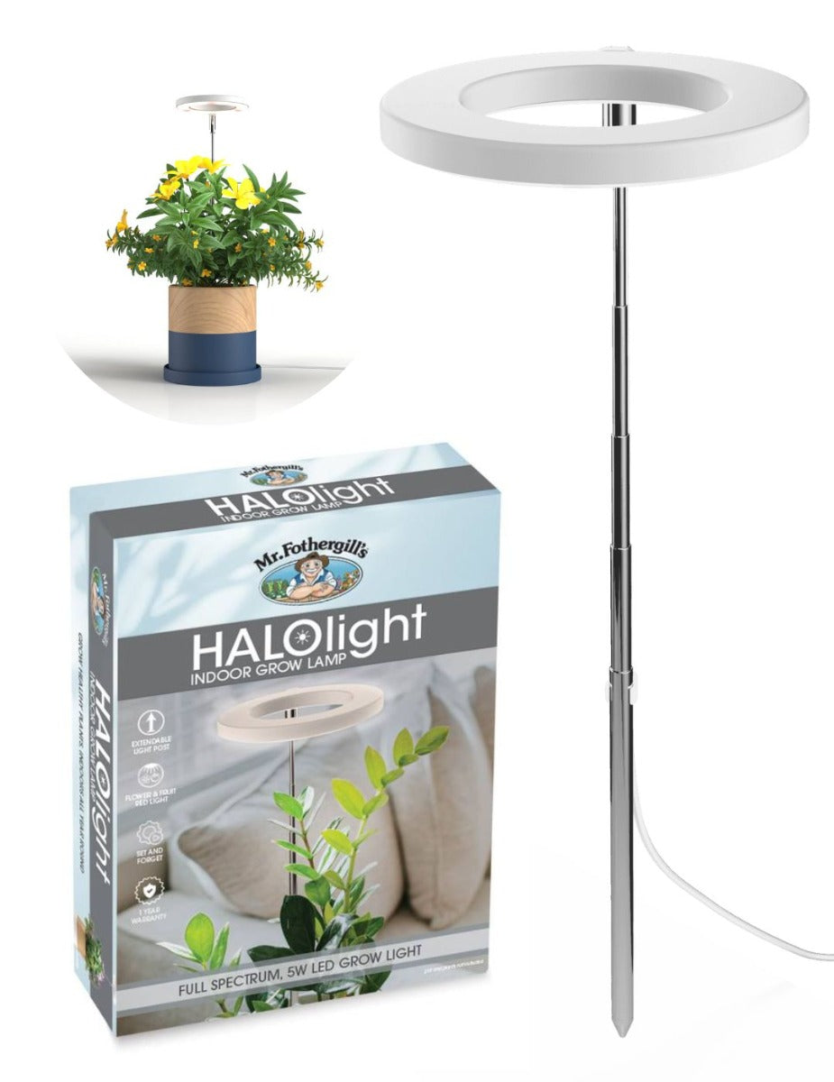 HALOlight