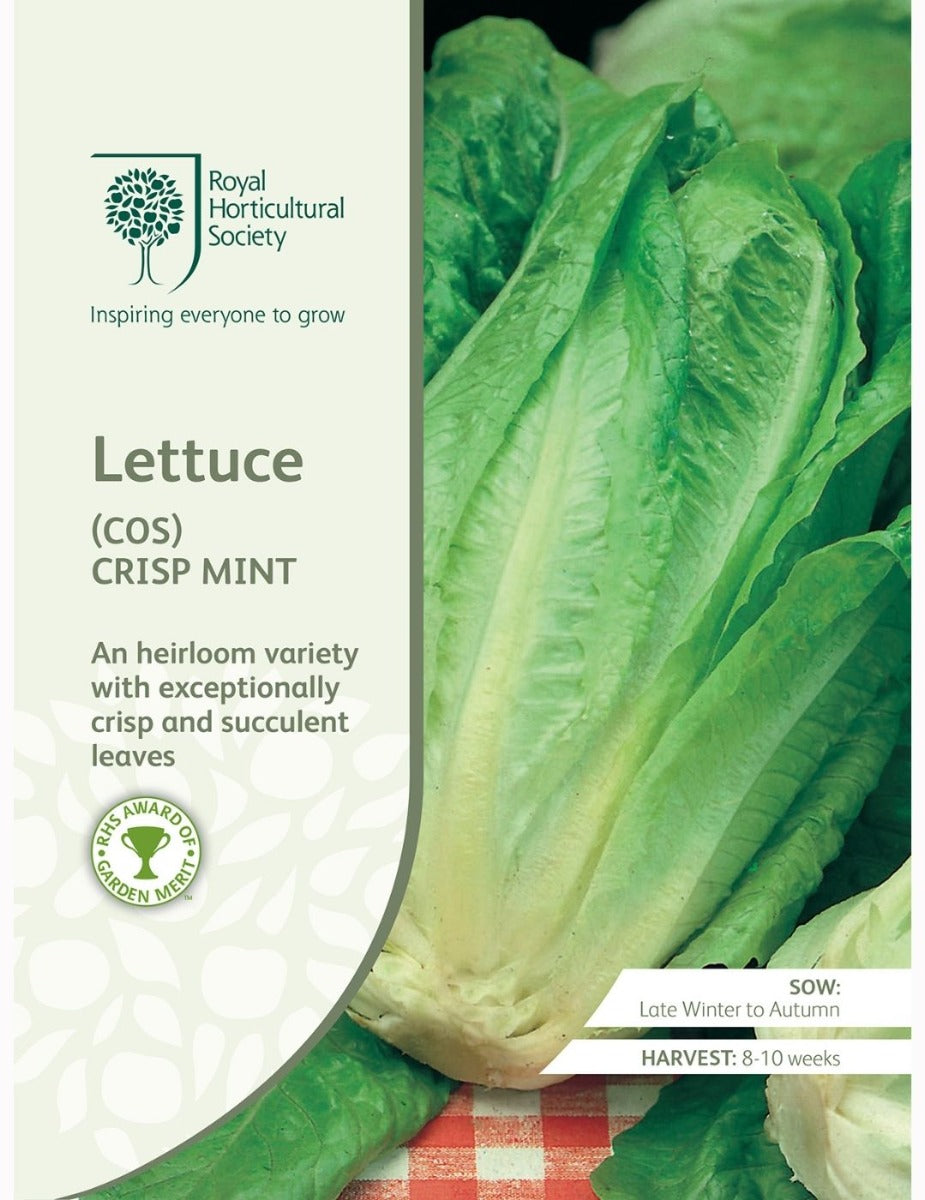 Lettuce (Cos) Crisp Mint