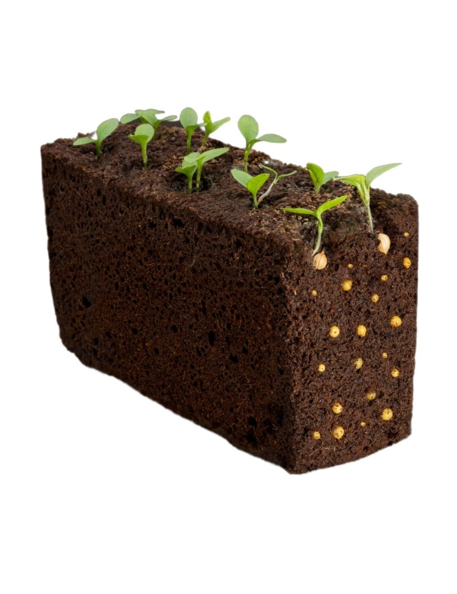 Véritable® Seed Lingot® - Basil Sweet