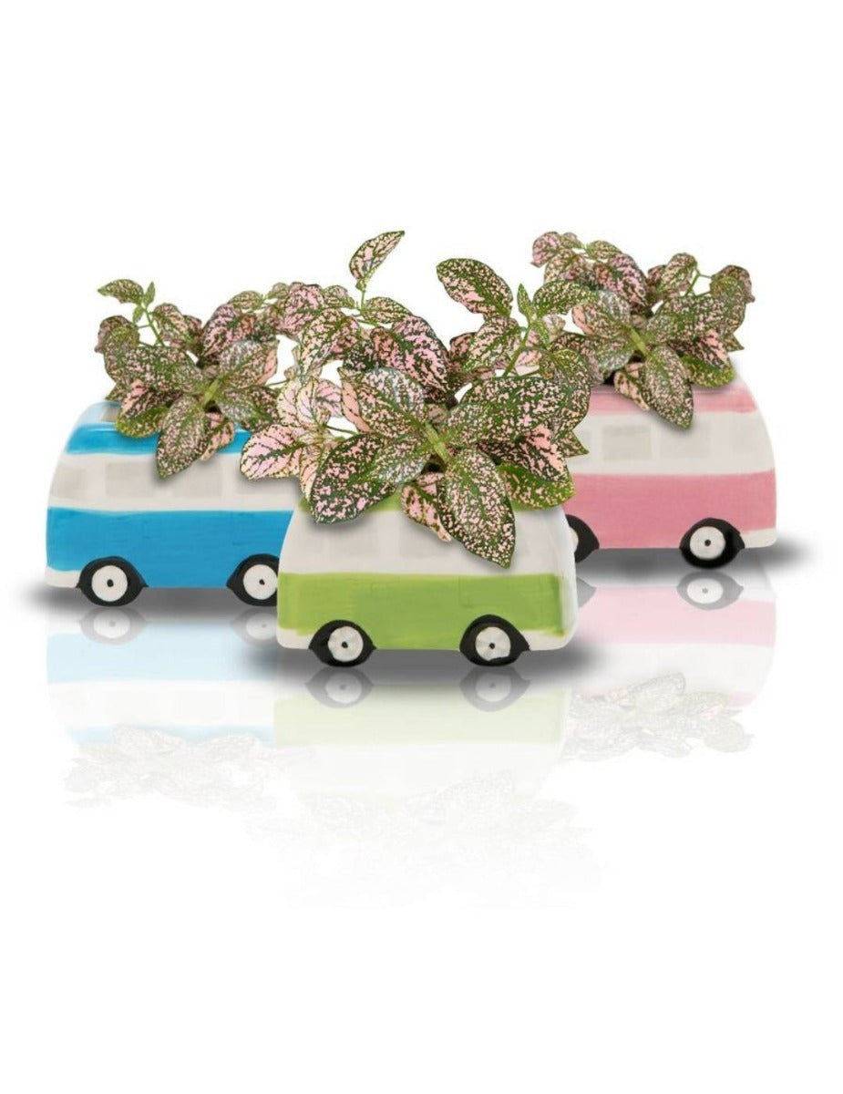 Minivan Grow Kit - Freckle Face Van - Blue