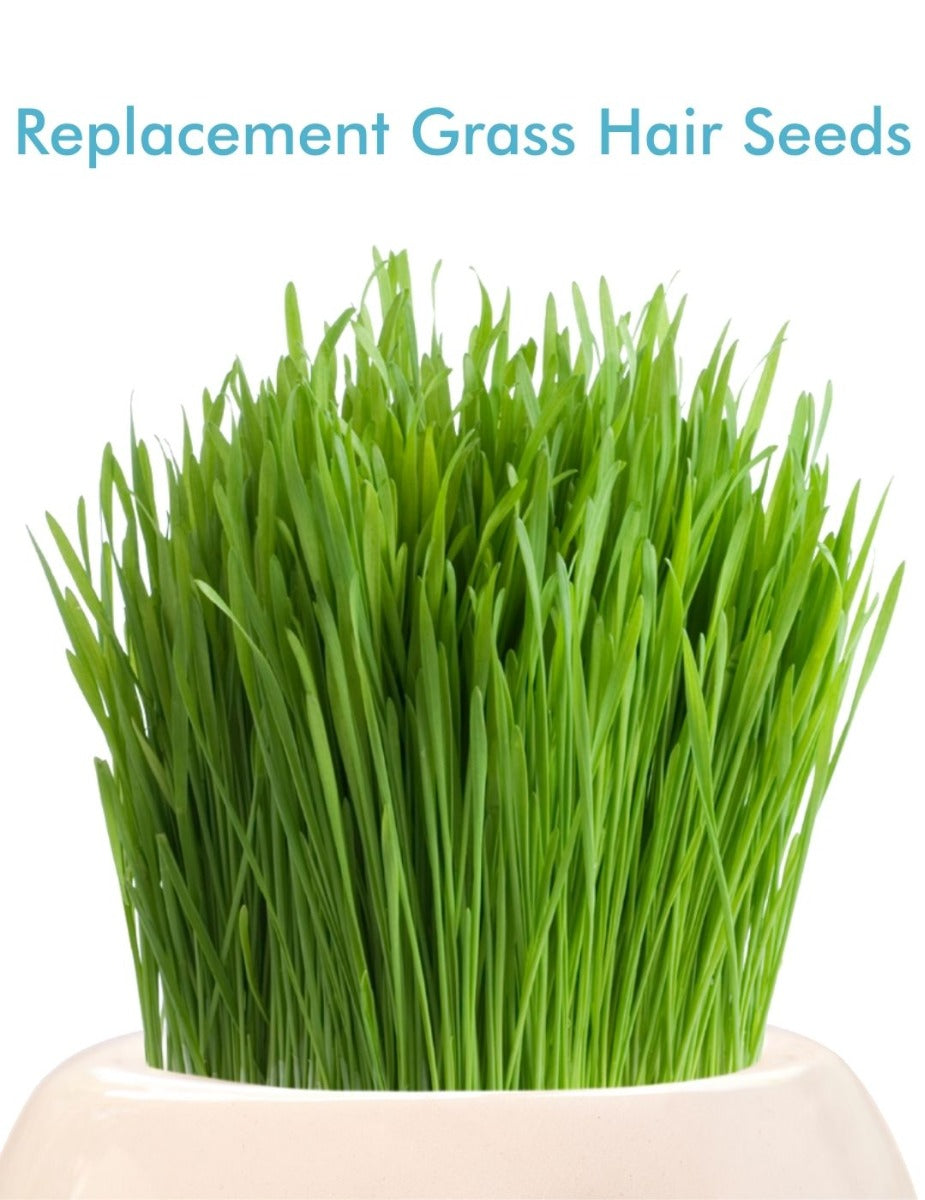 Grass Hair Kit - Replacement Ryegrass Seeds