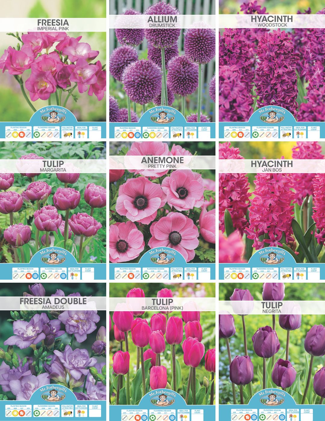 Pink and Purple Bulbs Bundle