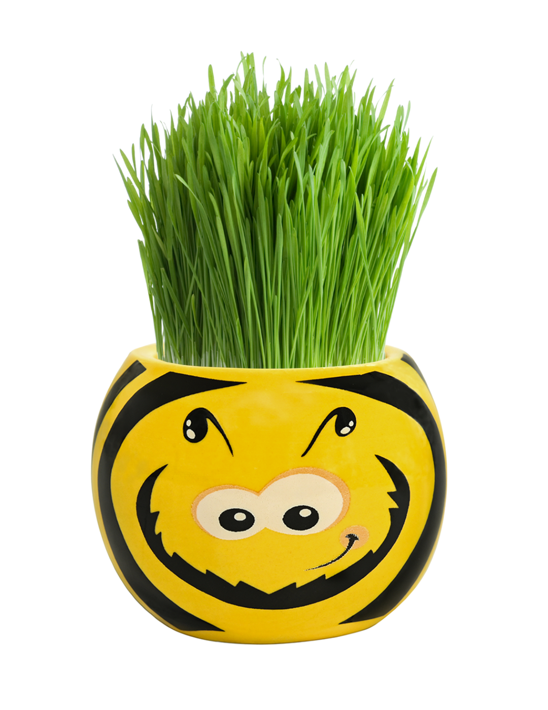 Grass Hair Kit - Friendly Bugs (Bee)