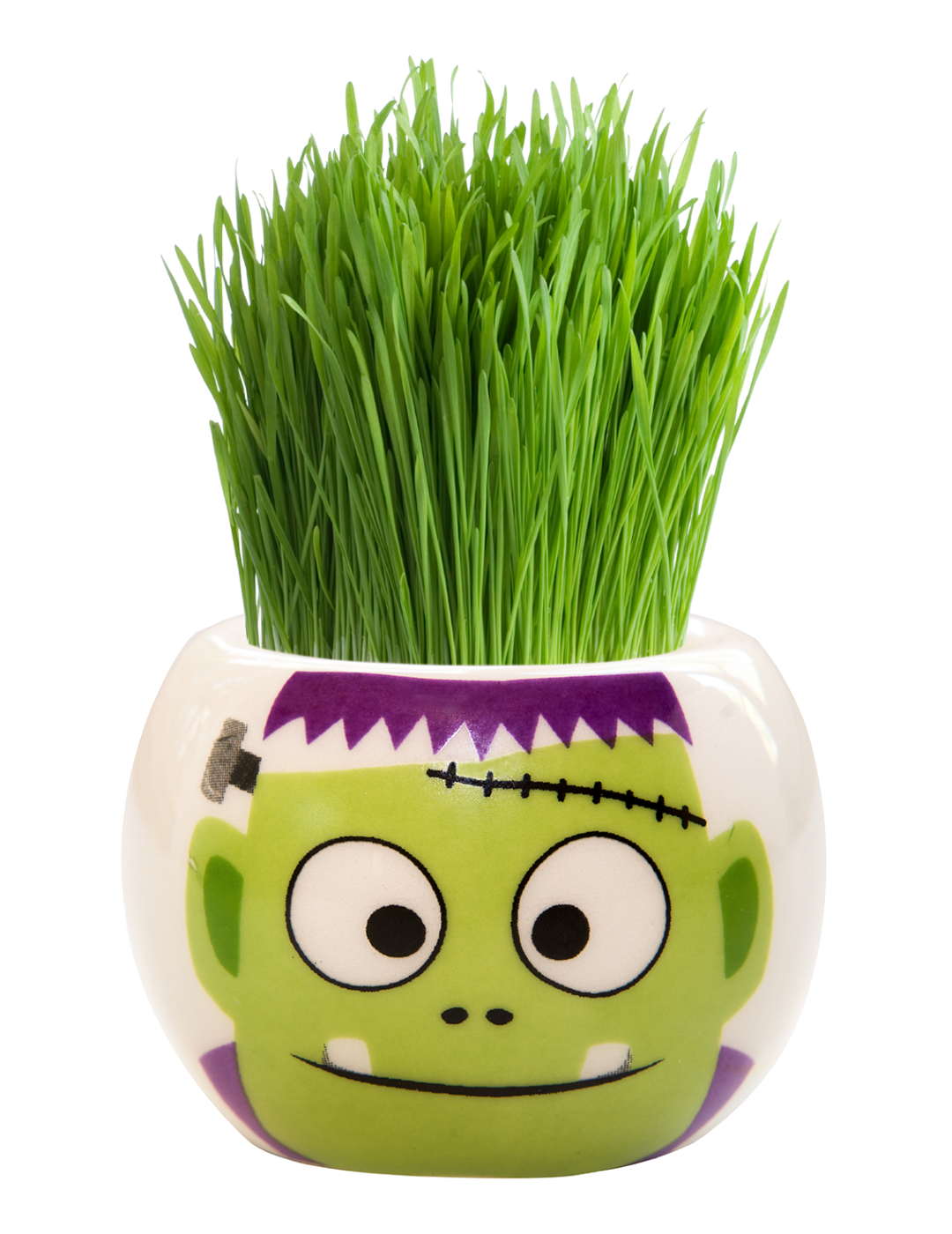 Grass Hair Kit -  Halloween Party (Frankenstein)