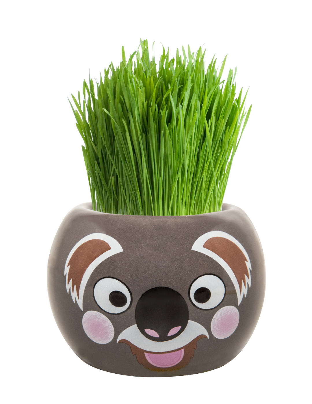 Grass Hair Kit - Aussie Animals (Koala)