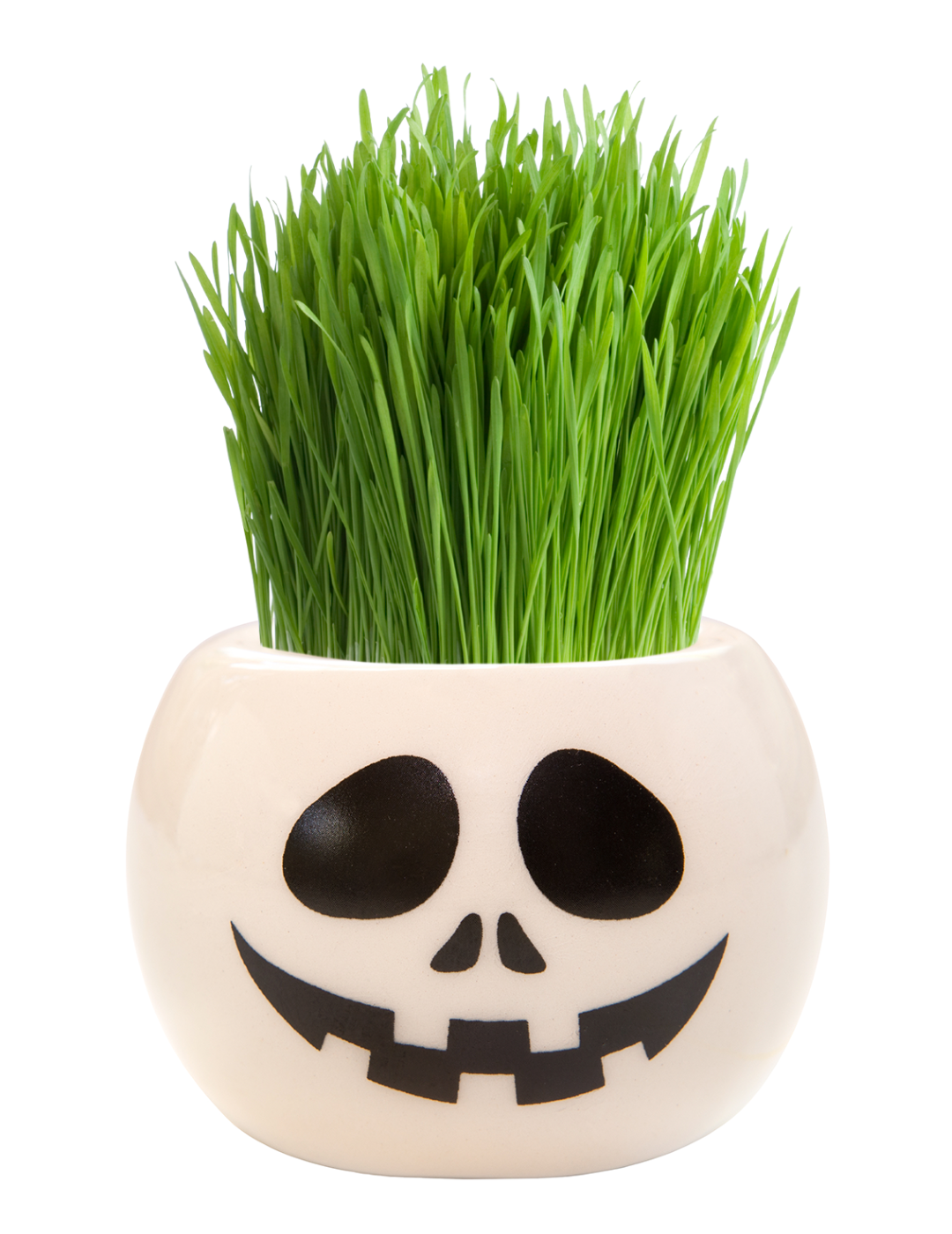 Grass Hair Kit -  Halloween Party (Skull)