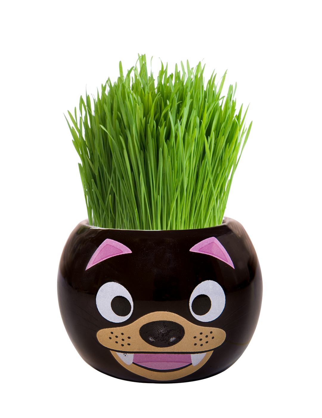 Grass Hair Kit - Aussie Animals (Tasmanian Devil)