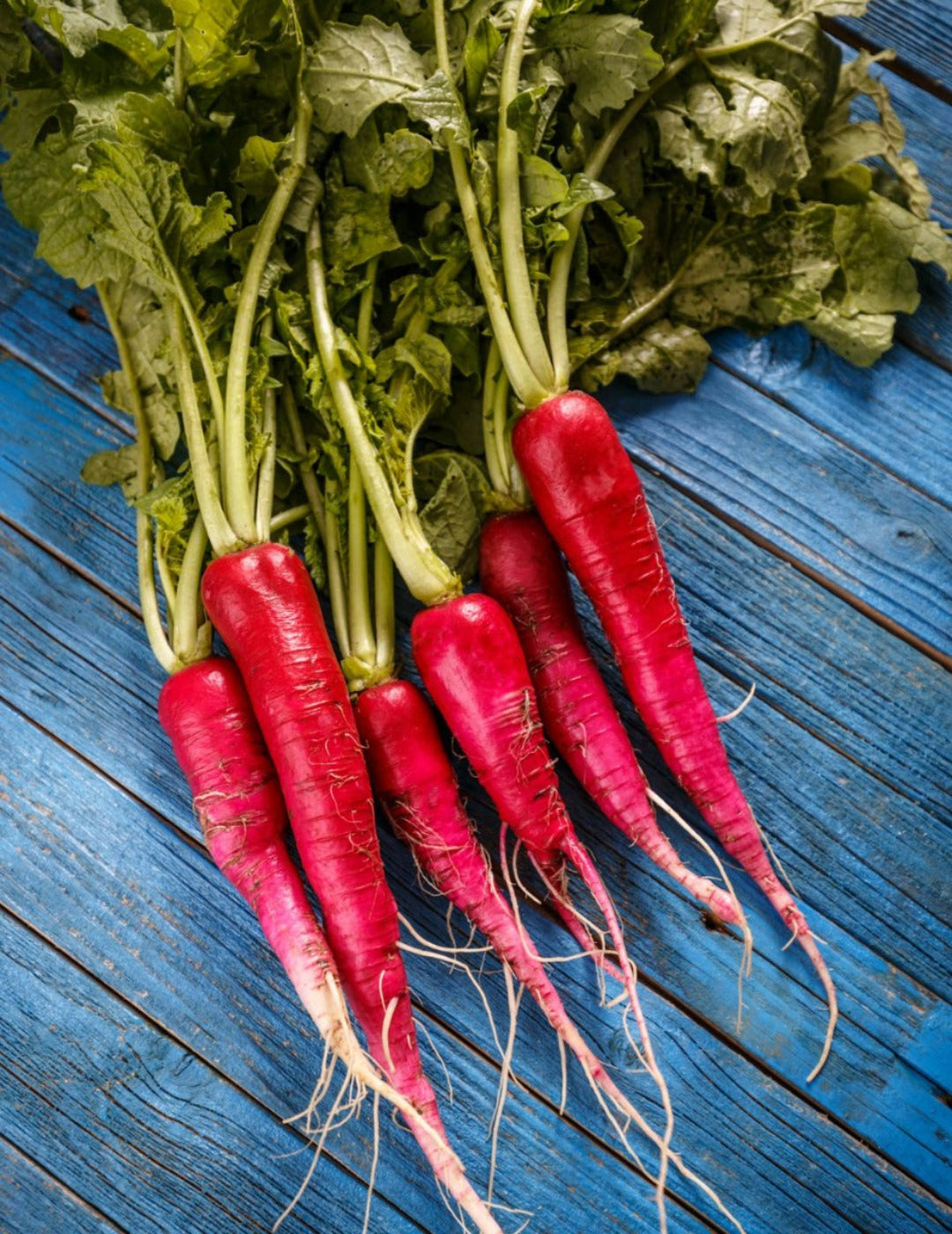 Long Scarlet Radish Seeds