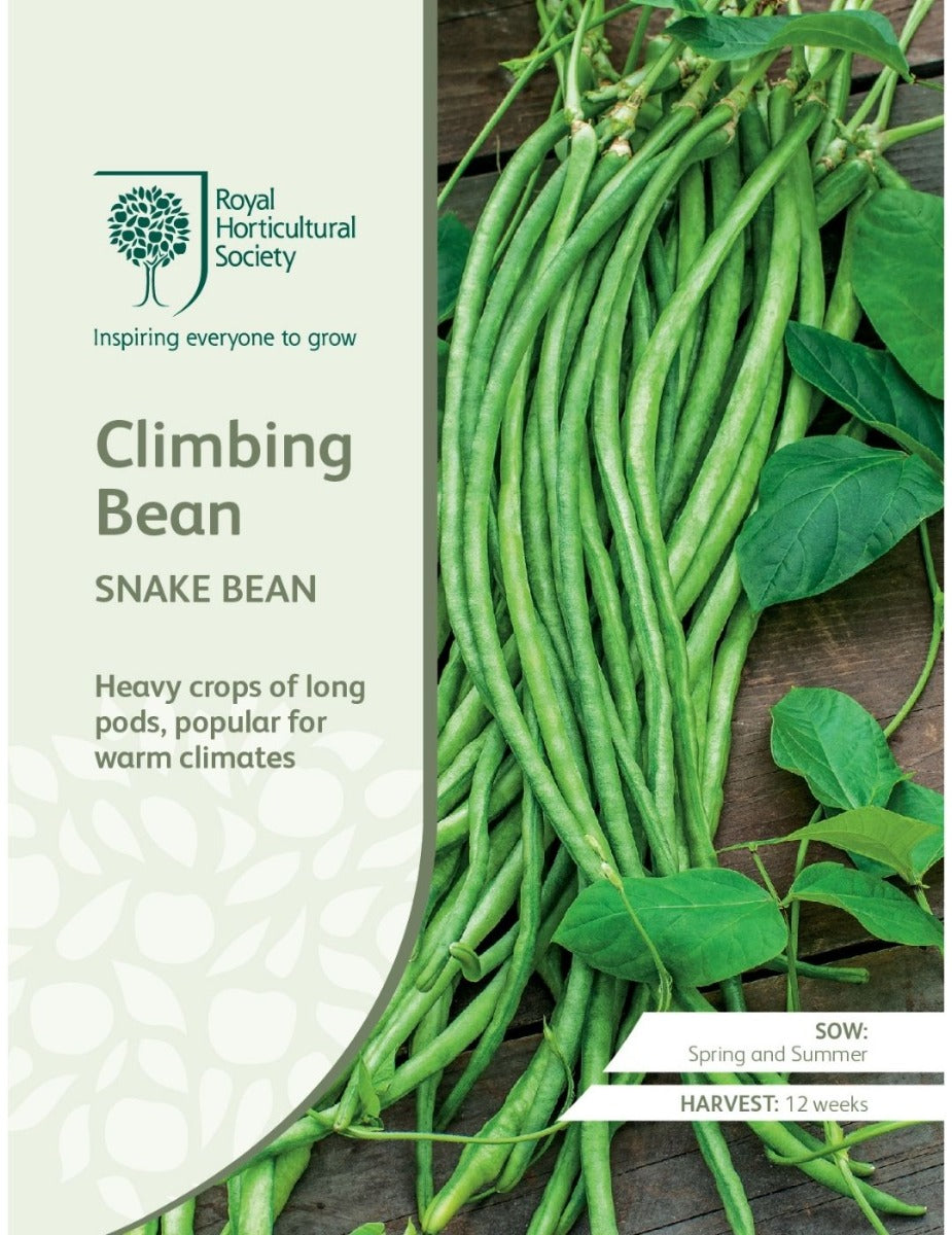 RHS Snake Bean