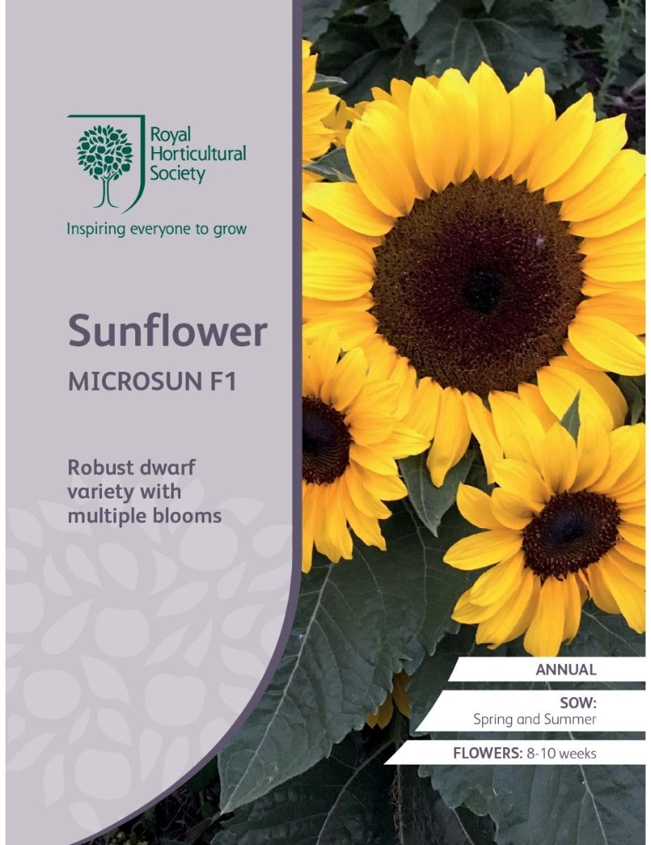 Sunflower Microsun F1