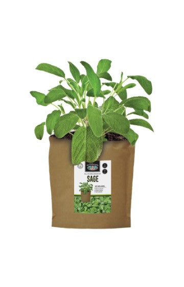 Sage - Grow Pouch Kit