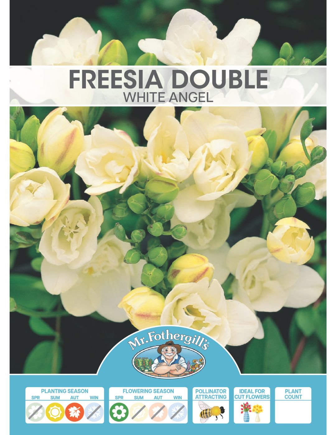 Freesia Double White Angel Bulbs