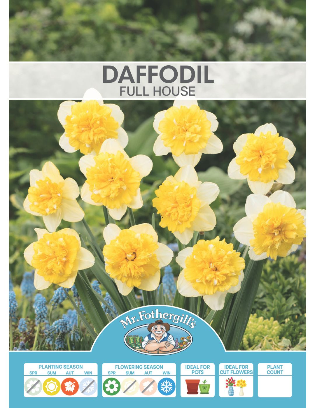 Daffodil Full House