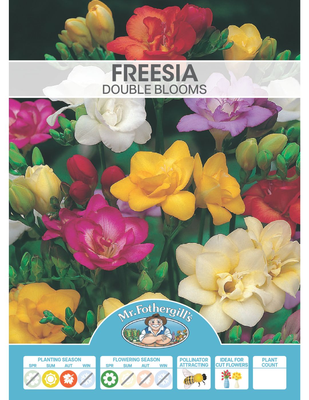 Freesia Double Blooms Bulbs