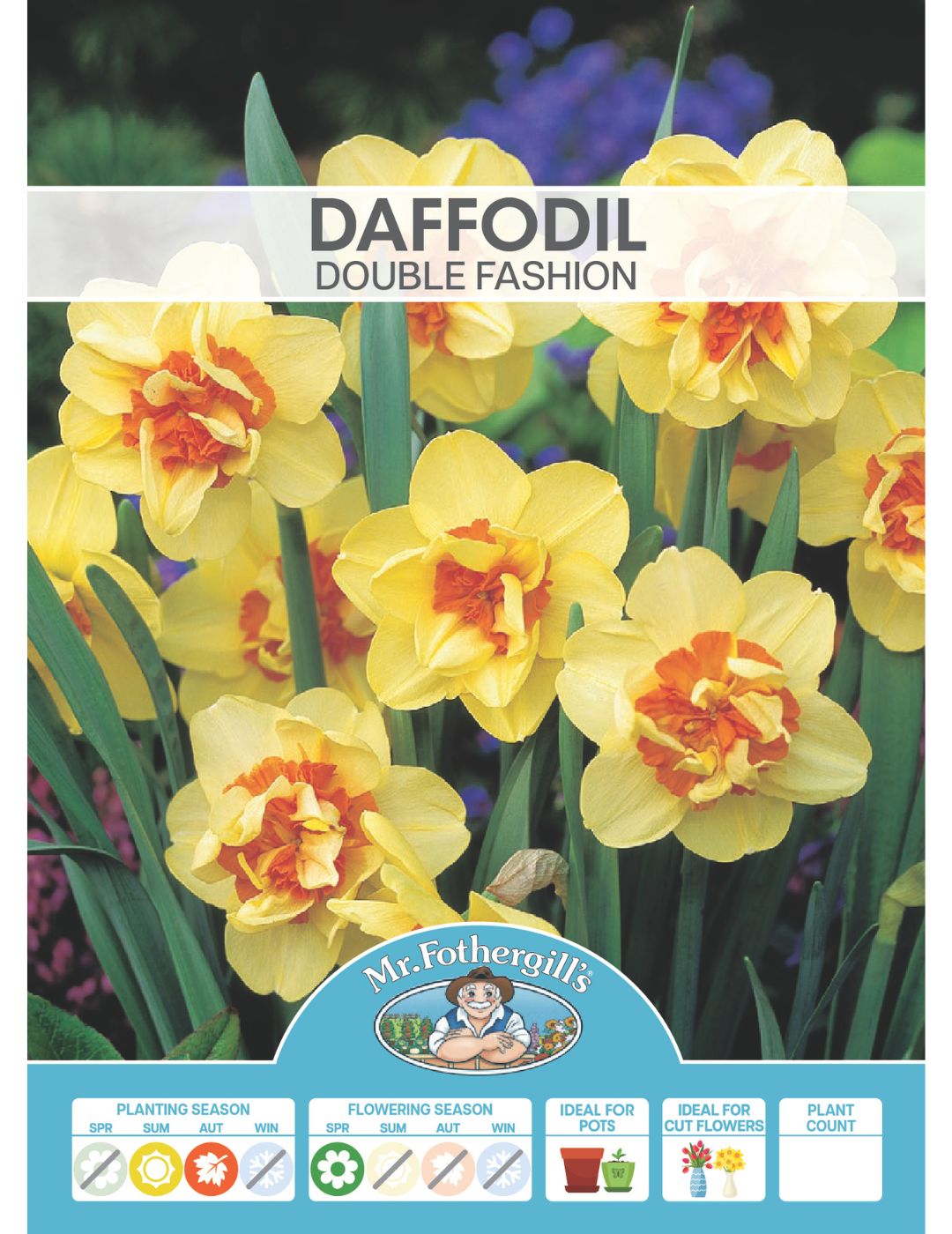 Daffodil Double Fashion