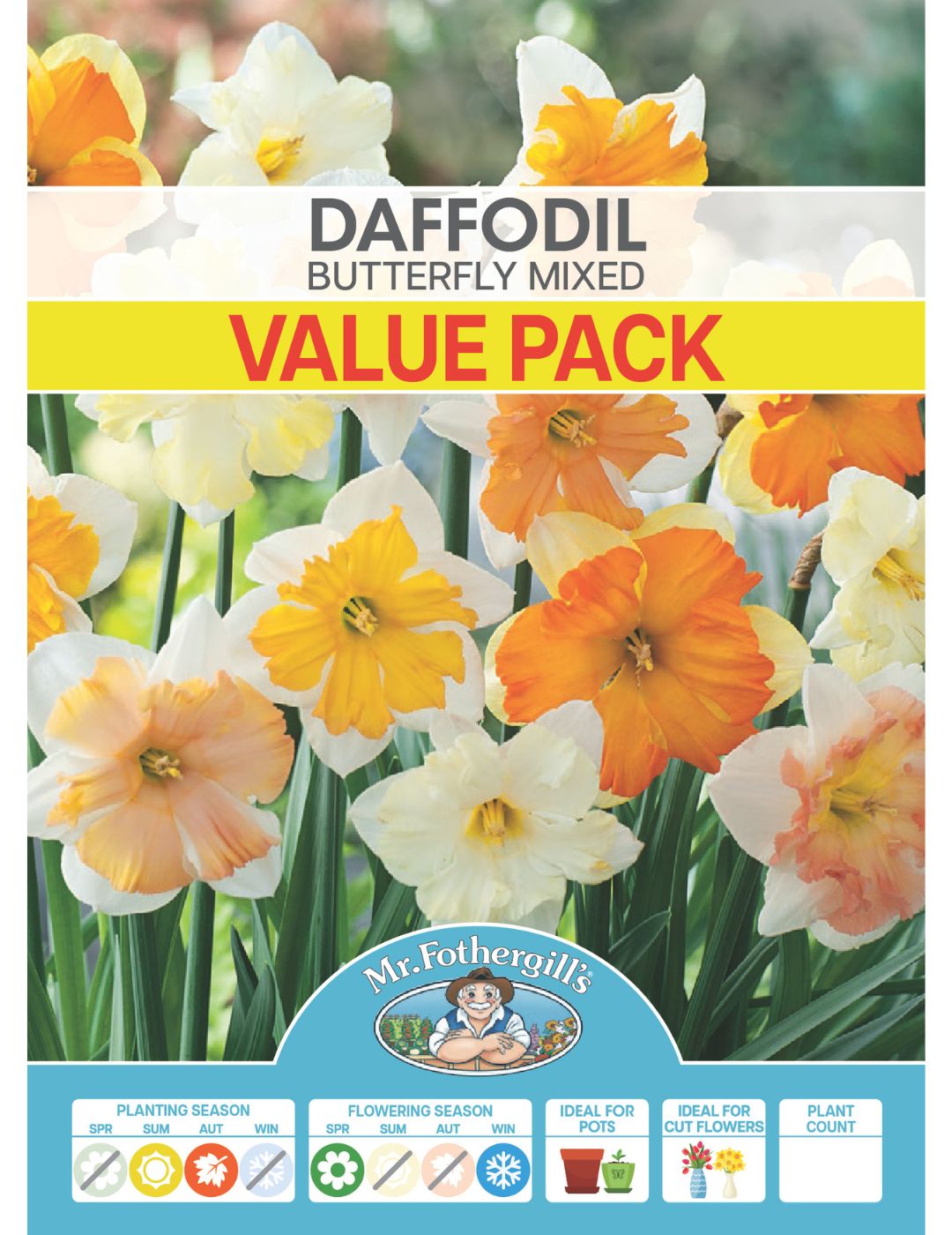 Daffodil Butterfly Mixed Value Pack