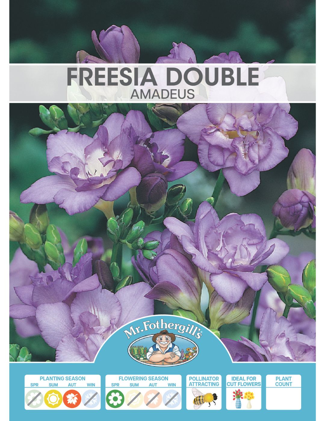 Freesia Double Amadeus Bulbs