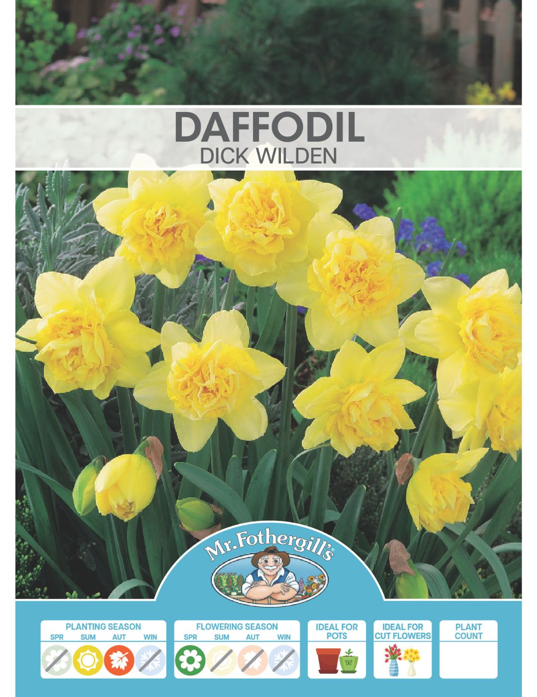 Daffodil Dick Wilden