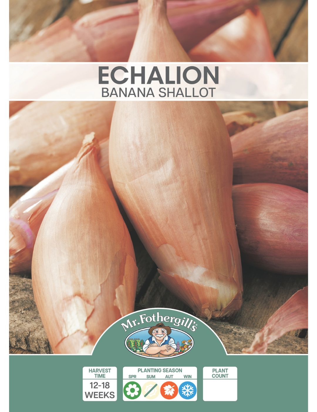 Echalion (Bulbs)