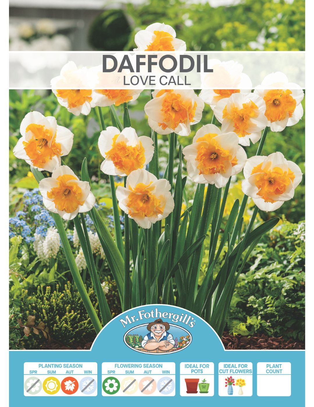 Daffodil Love Call