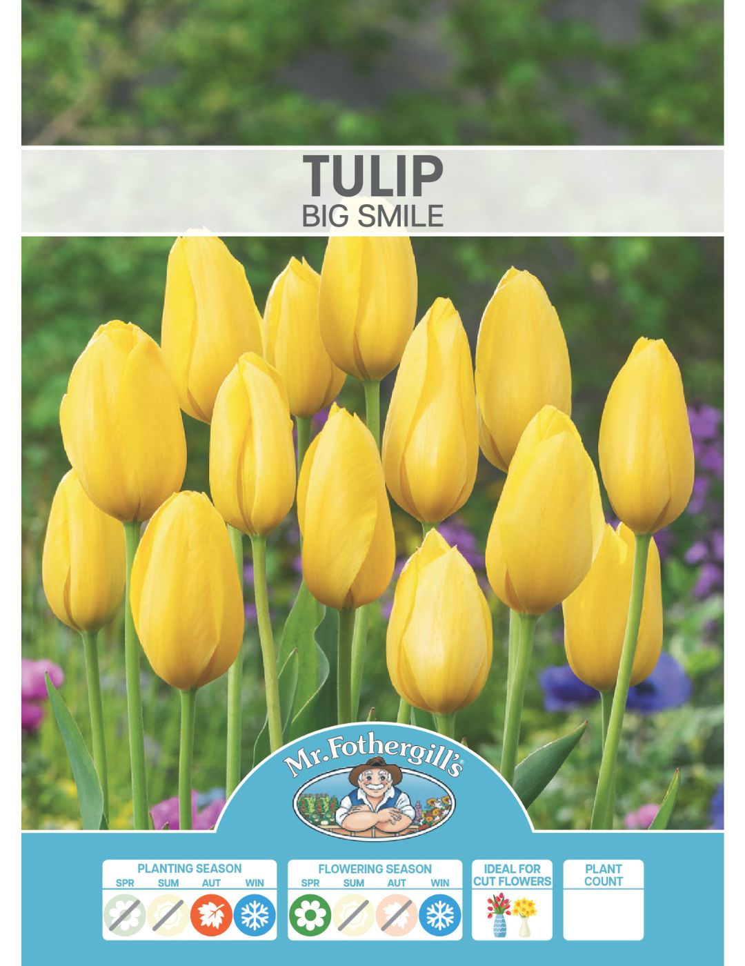 Tulip Big Smile Bulbs