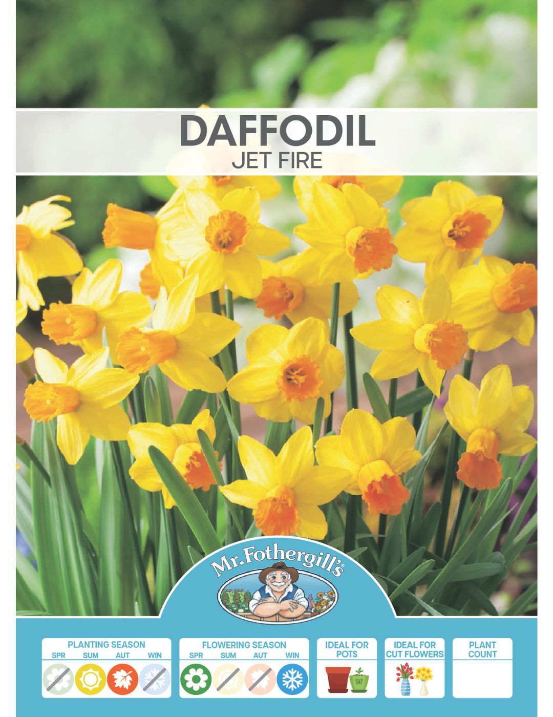 Daffodil Jet Fire