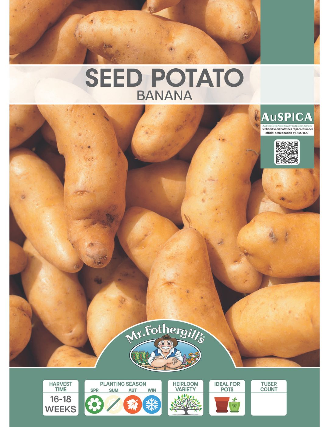 Seed Potato - Banana 500g bag