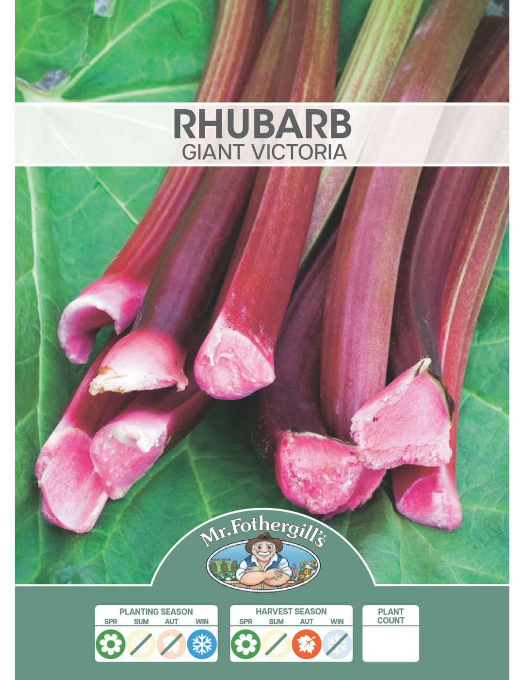 Rhubarb Giant Victoria (Bulb)