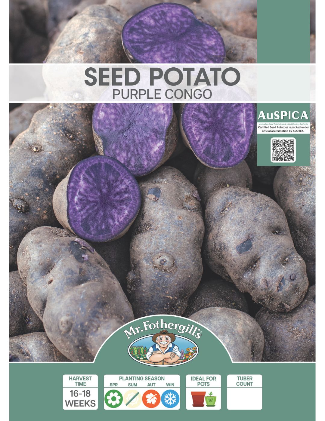 Seed Potato - Purple Congo 500g bag