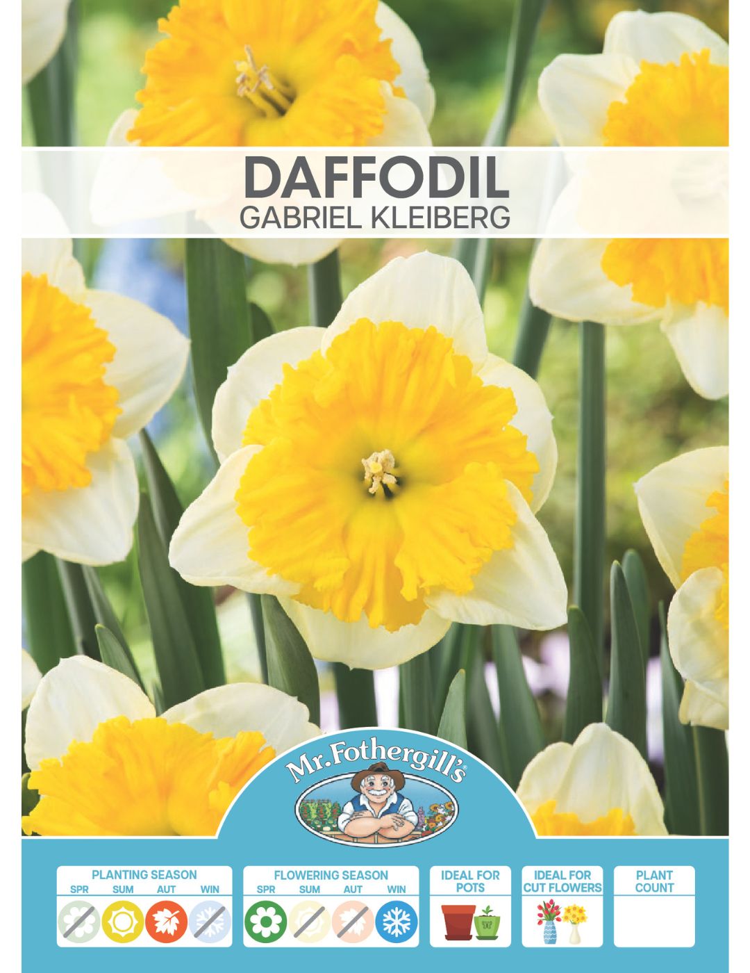 Daffodil Gabriel Kleiberg