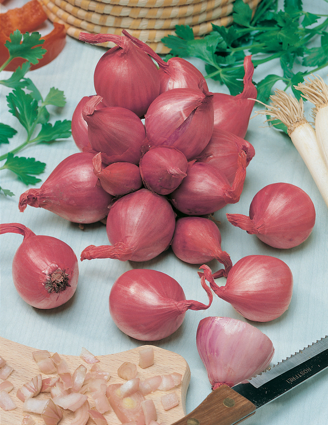 Shallots Red (Bulbs)