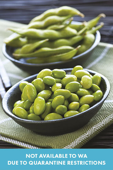 Soybean Edamame - NOT AVAILABLE TO WA