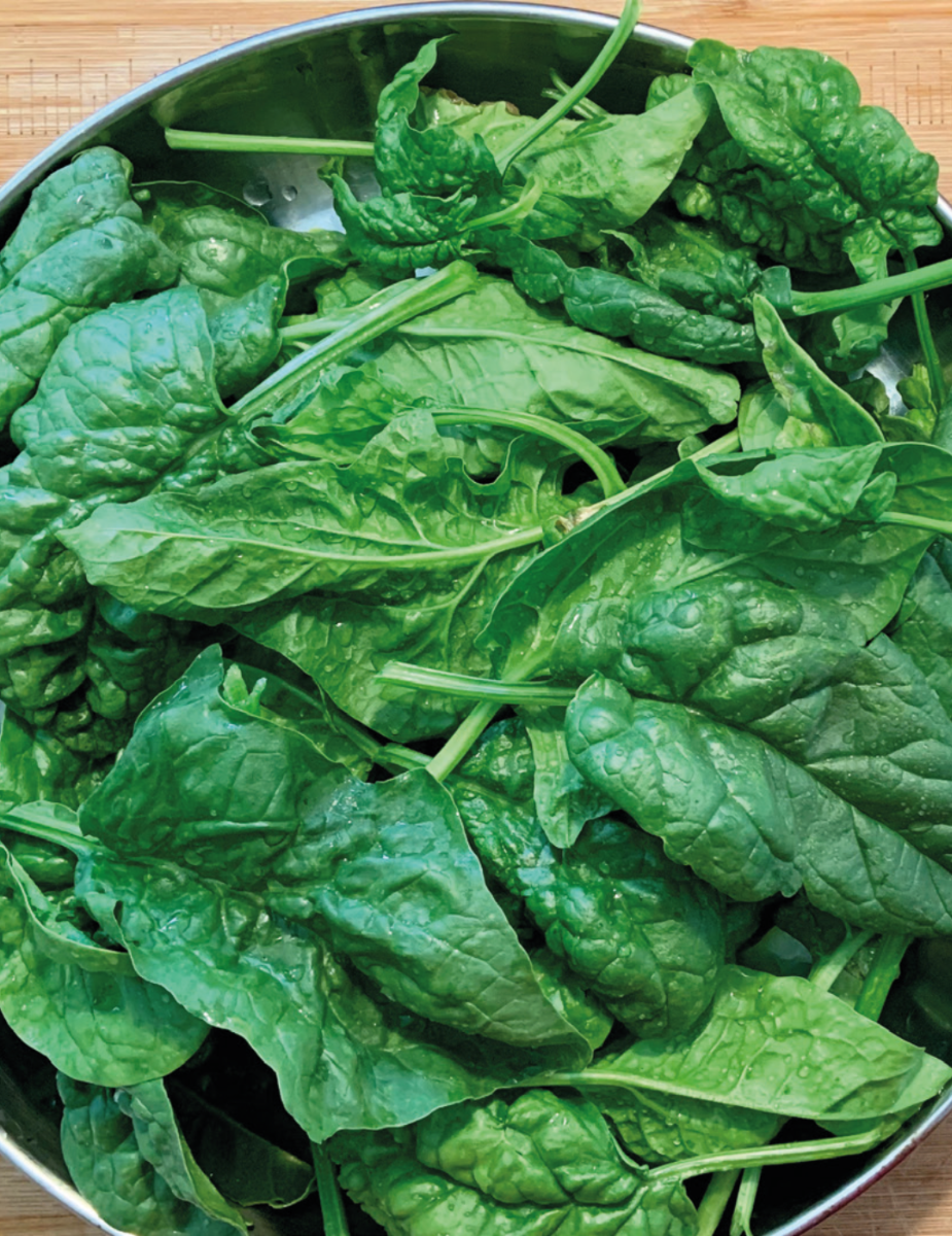 Spinach Bloomsdale Longstanding