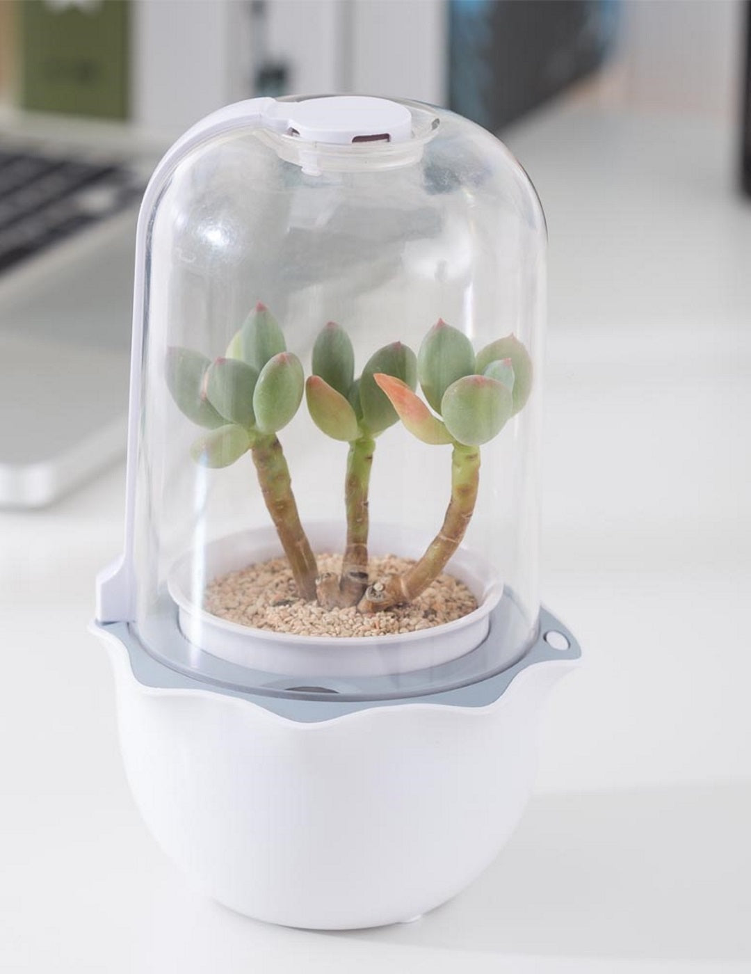 Grow Pod - Desktop Garden