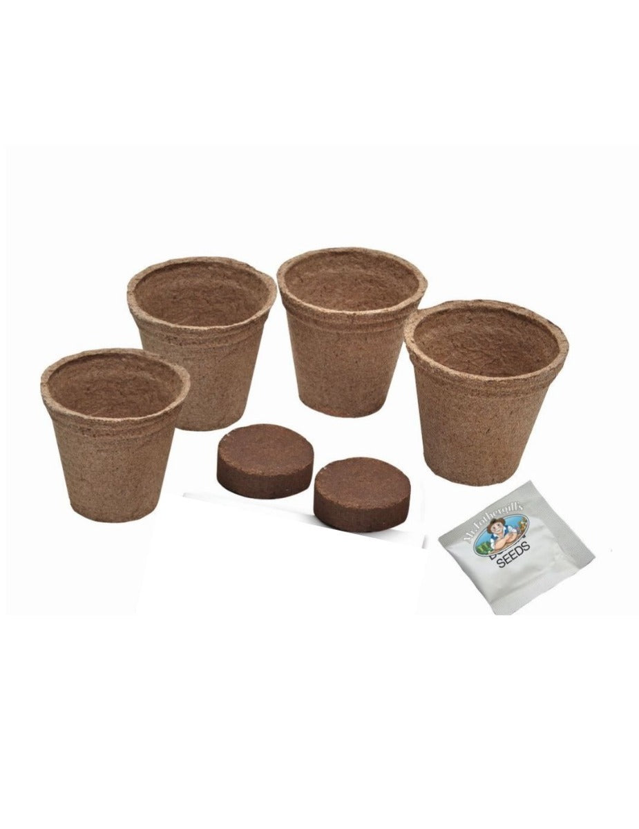 RHS Forget Me Not Ultramarine Flower Grow Kit