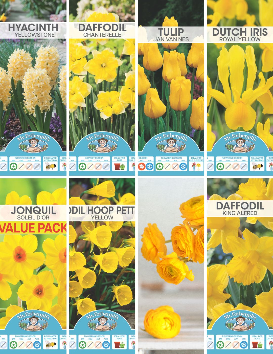 Yellow Bulbs Bundle