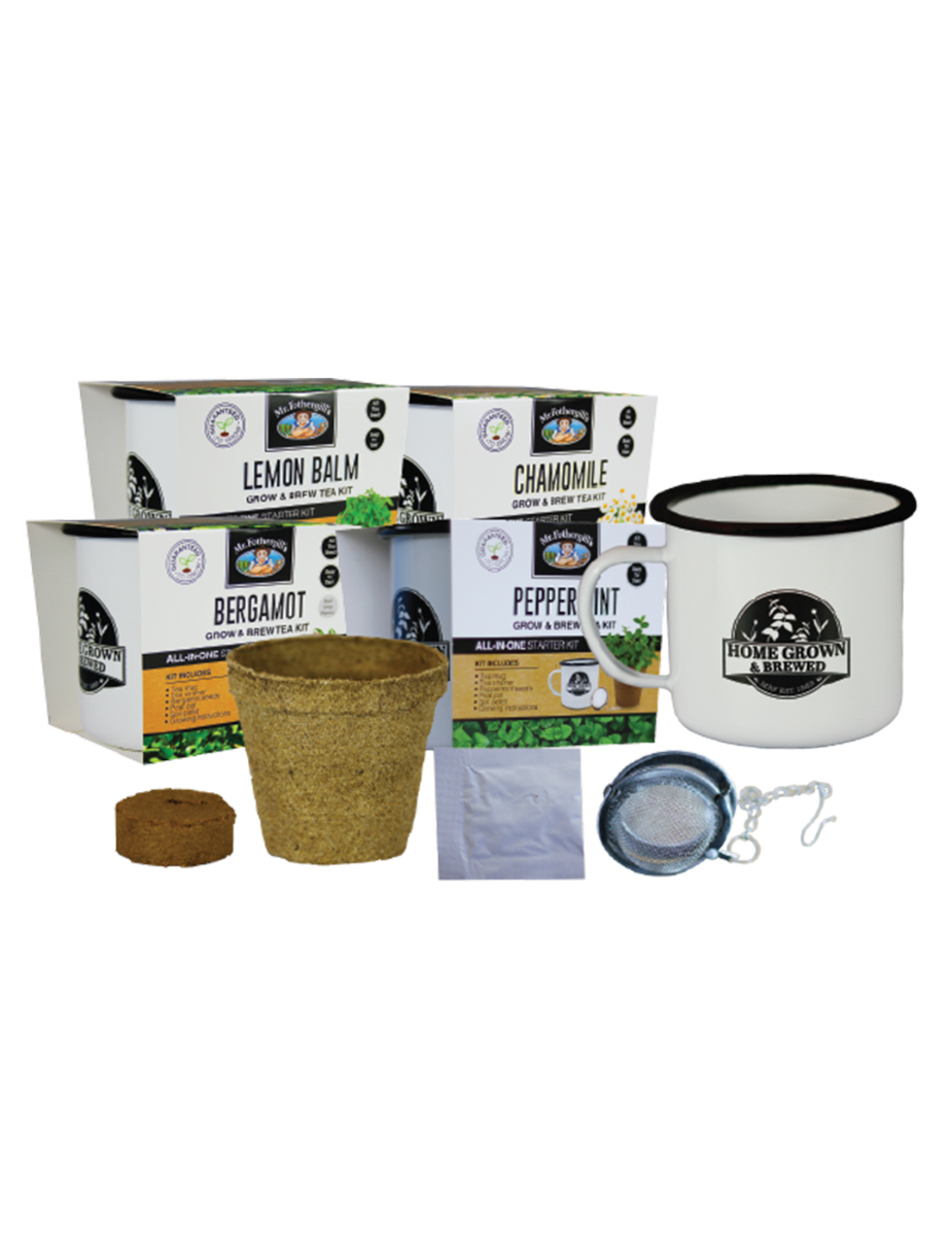 Grow & Brew Tea Kit - Bergamot