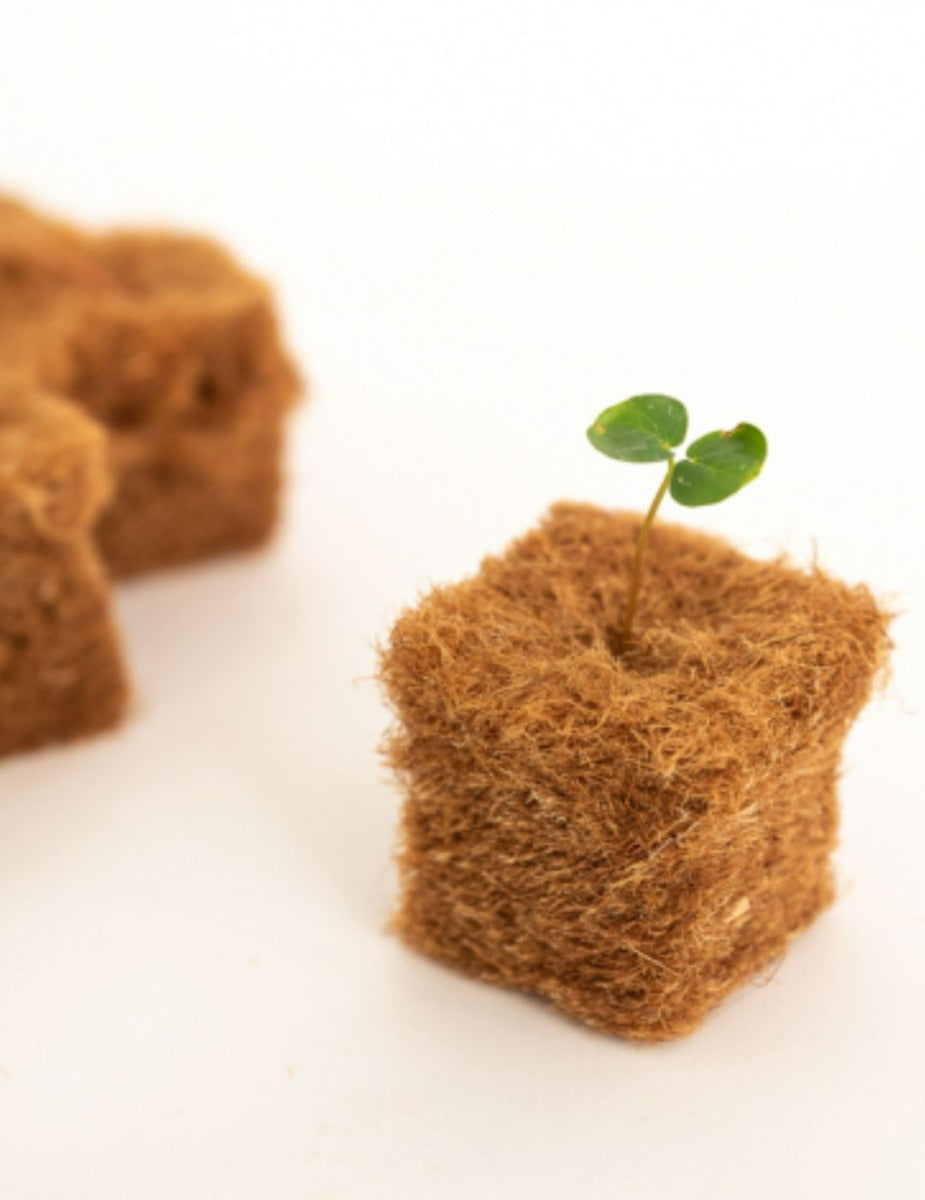 Terrafibre Hemp 1.5" Growing Cubes  (9 pack)