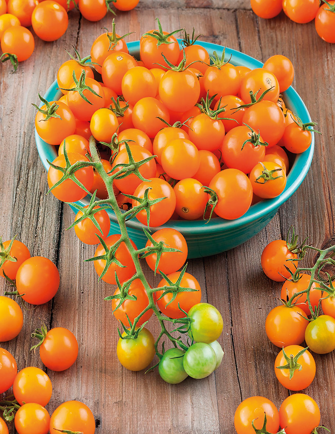 Tomato Sungold F1 Seeds