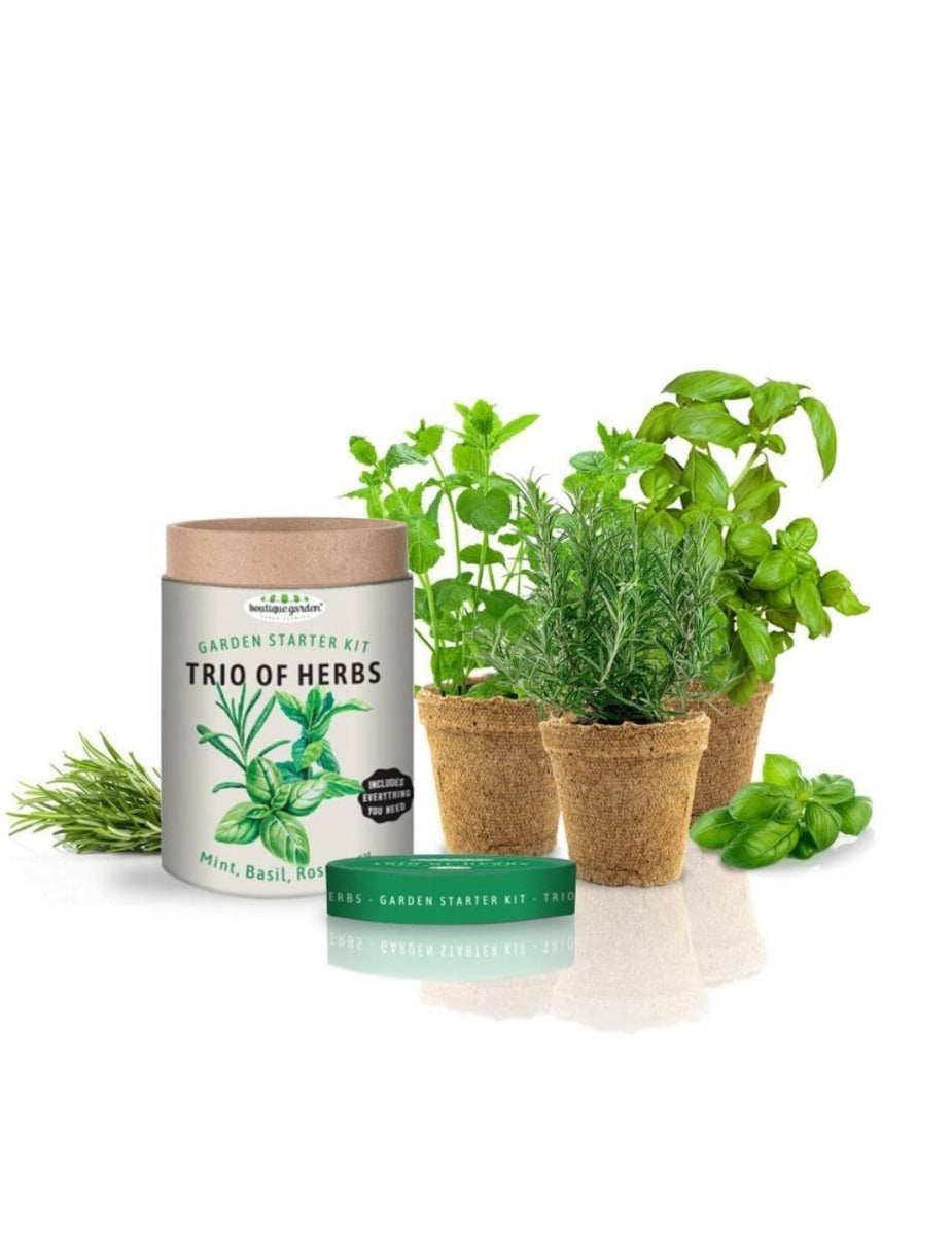 Trio of Herbs Garden Starter Kit