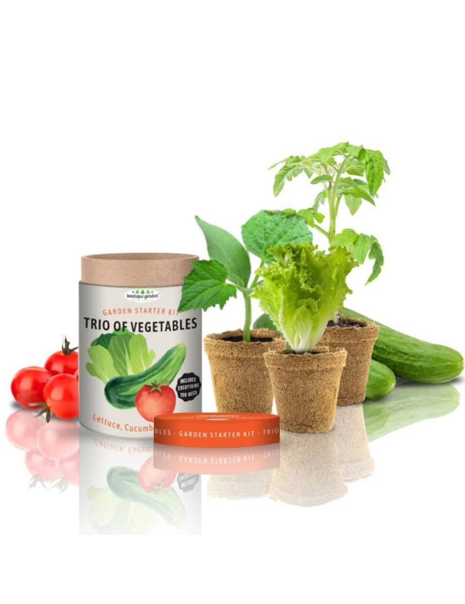 Trio of Vegetables Garden Starter Kit