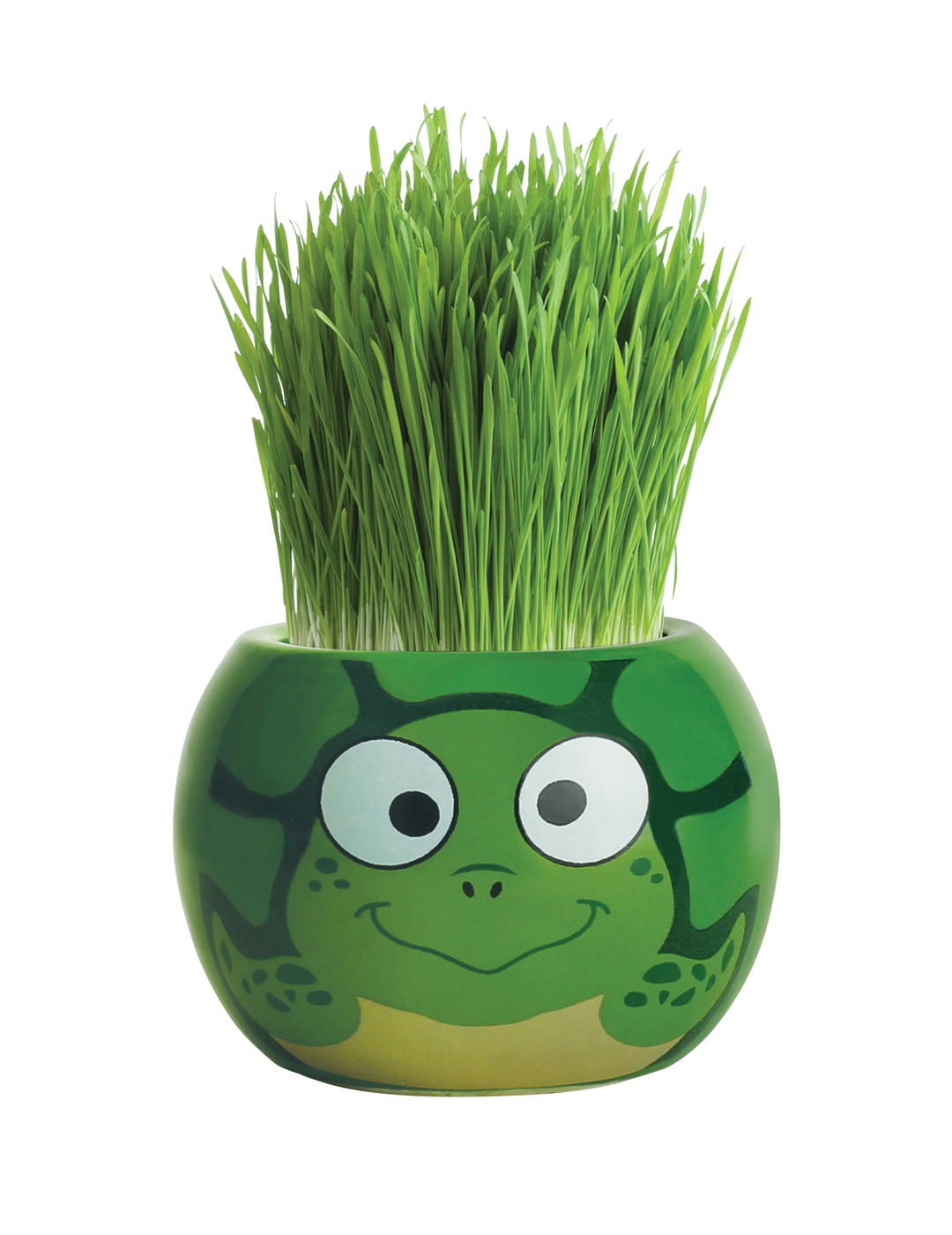 Grass Hair Kit - Ocean Animals (Turtle)