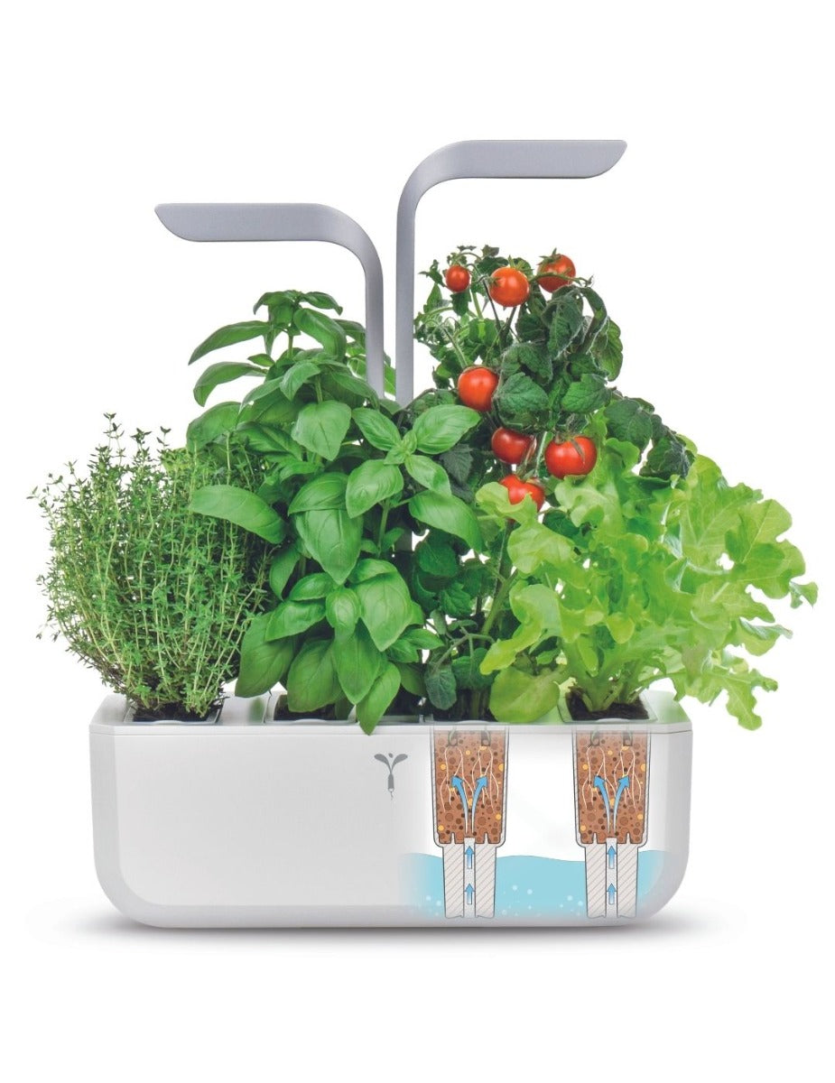 Véritable® Indoor Garden - SMART