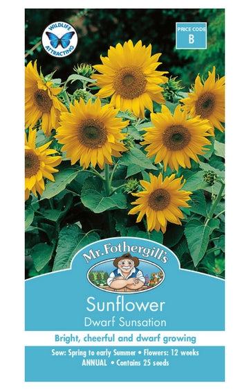 Sunflower Dwarf Sunsation