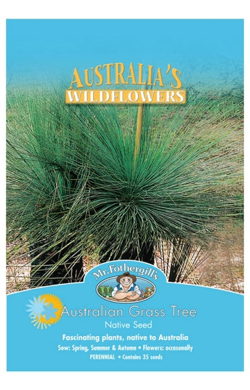 Australian Grass Tree WILDFLOWER