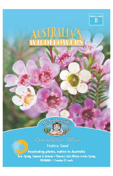 Geraldton Wax WILDFLOWER - NOT AVAILABLE TO WA/TAS